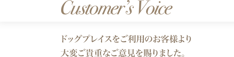 Customer’s Voice